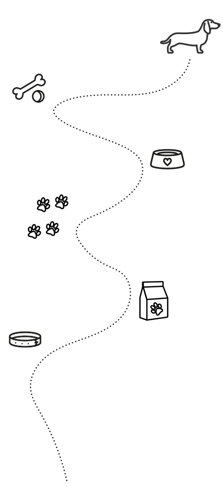 Profesionelle Hundebetreuung in Hamburg hundebetreuung - futterberatung hund - gassigeher hamburg - gassiservice hamburg - reico futter - reico futterberatung